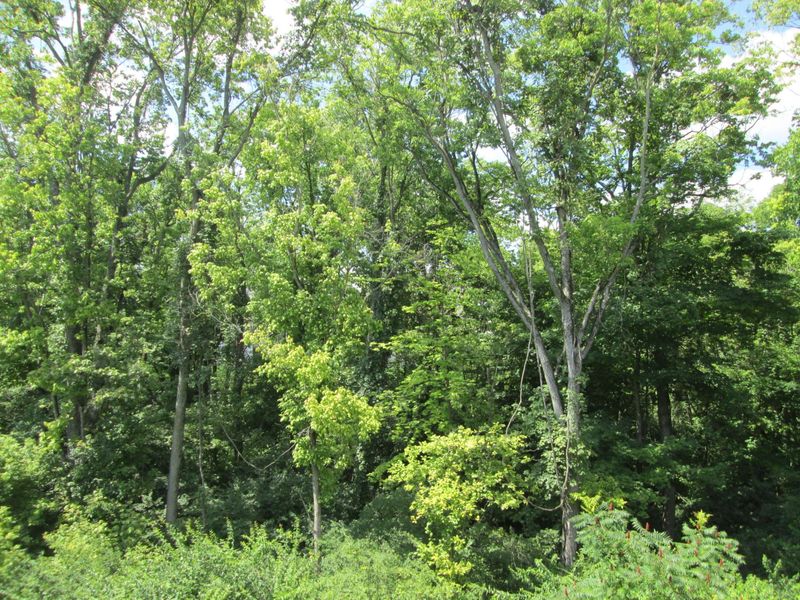 2644 Timberside Drive, Hebron, KY 41048 Photo 25