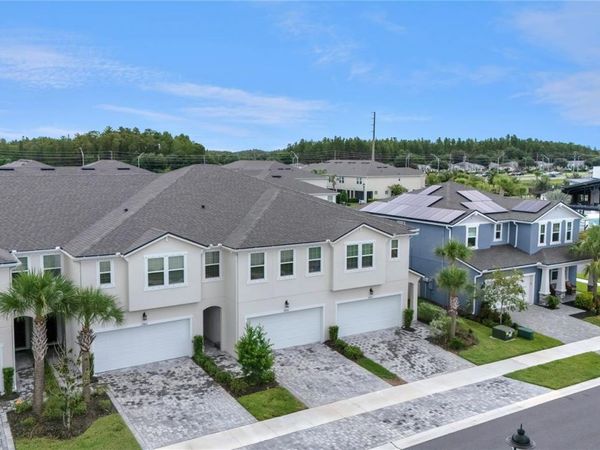 19431 MONARCH WIND WAY , LUTZ, FL 33558