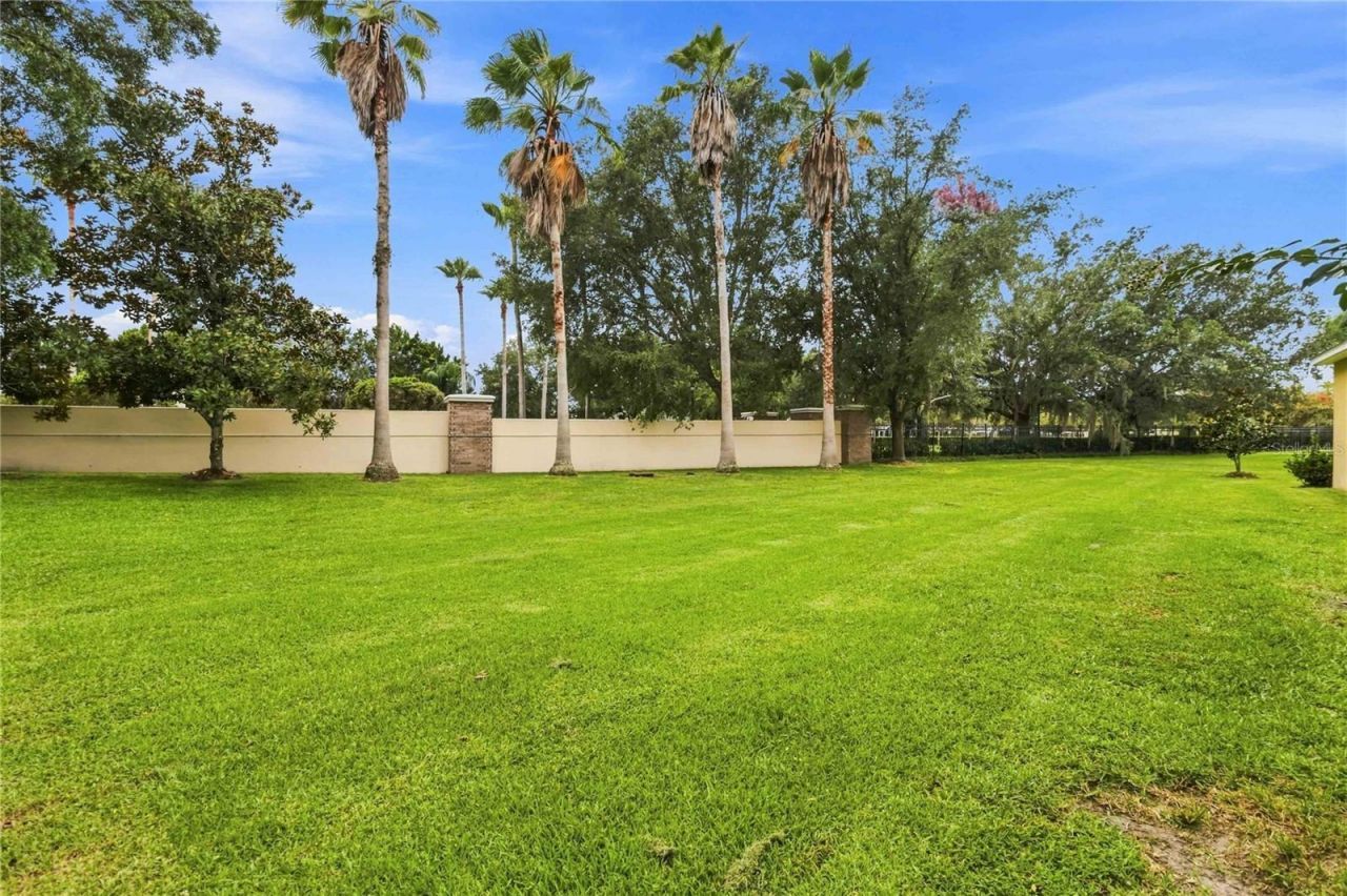 3469 Forest Ridge Lane, Kissimmee, FL 34741 Photo