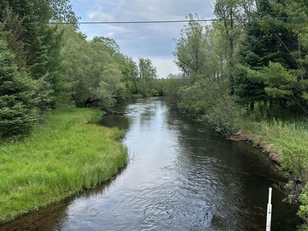 V/L W M-72 Highway, Grayling, MI 49738
