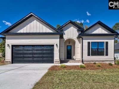858 Elms Spinney Lane, Chapin, SC 29036