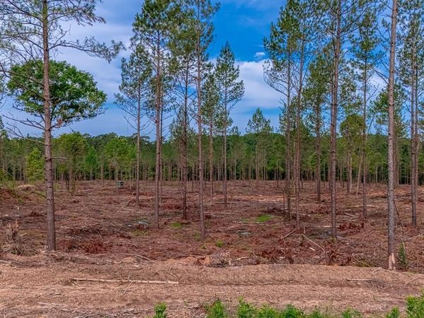 LOT #1 Grant 55 , Hensley, AR 72065