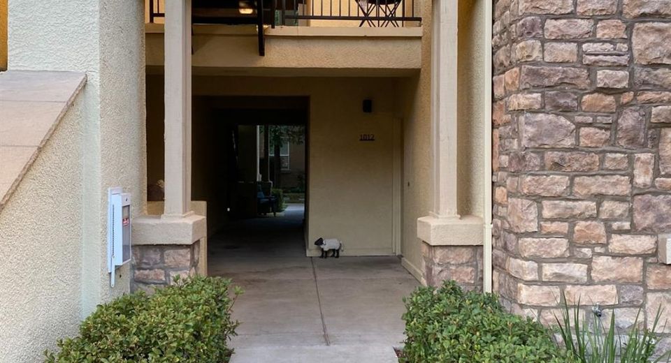 1211 Whitney Ranch Pkwy #1032, Unit 1032, Rocklin, CA 95765 Photo