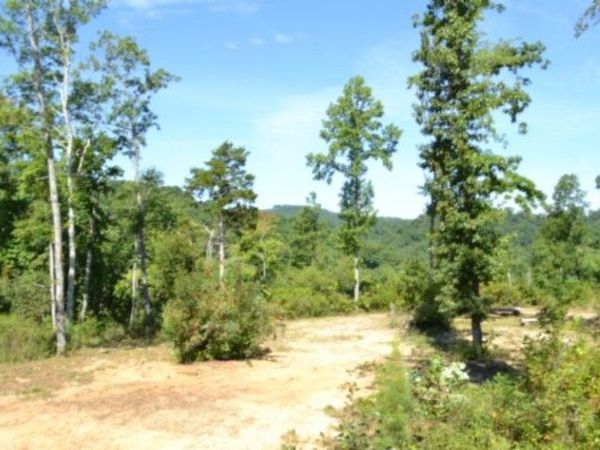 0 Rock Springs Rd , Unit 408-12, Celina, TN 38551