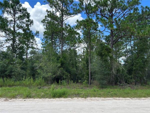 0000 SE 25TH STREET , MORRISTON, FL 32668