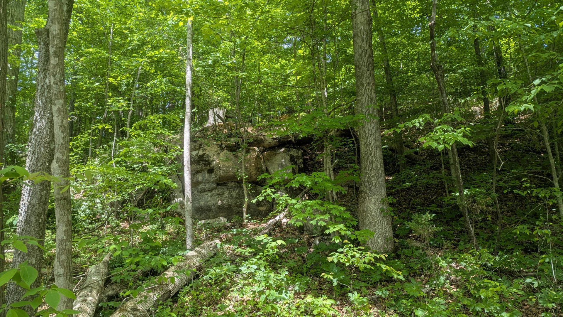 Please Call For Address, Ocoee, TN 37361 Main Photo