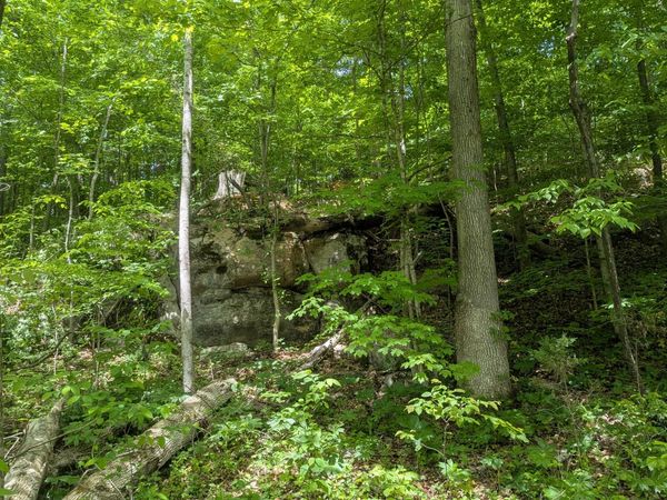 Ocoee, TN 37361