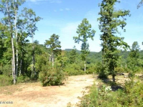 9.85ac Rock Springs Rd, Celina, TN 38551