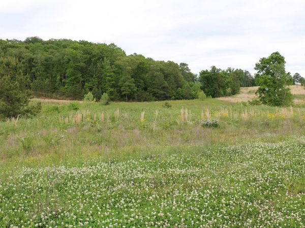 216 Lake Ferry Drive , Loudon, TN 37774