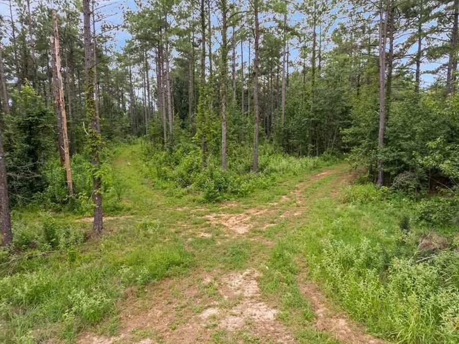 Property Image 101