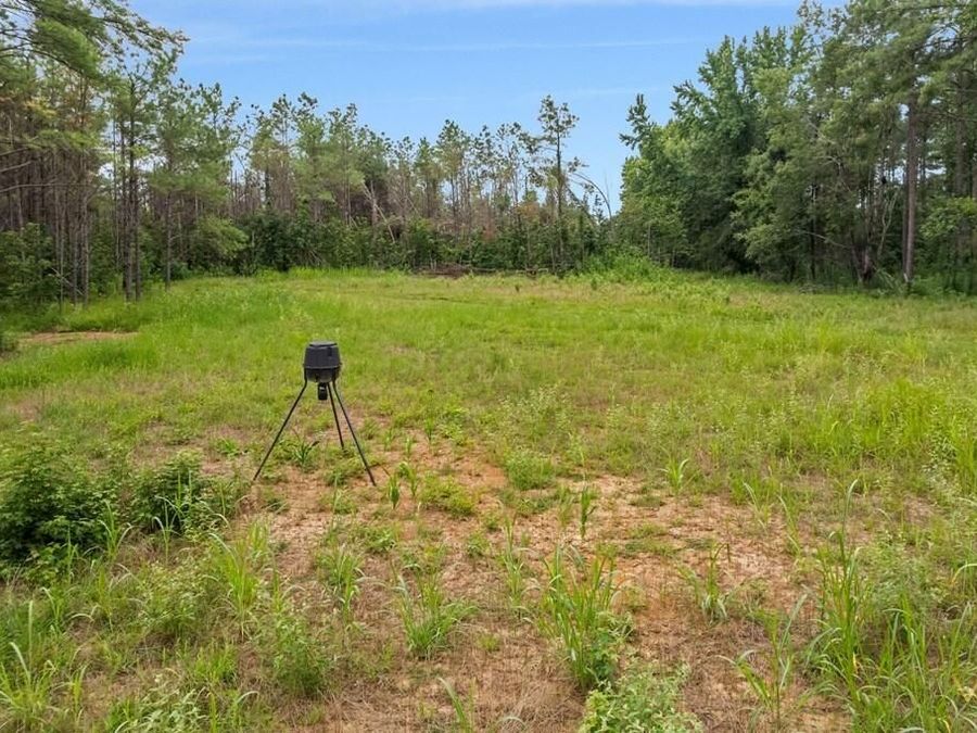 Property Image 103