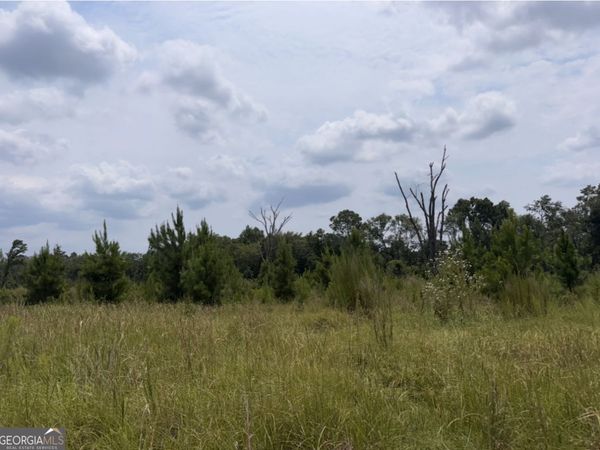 0 Rose Hollow Road, Lyons, GA 30436