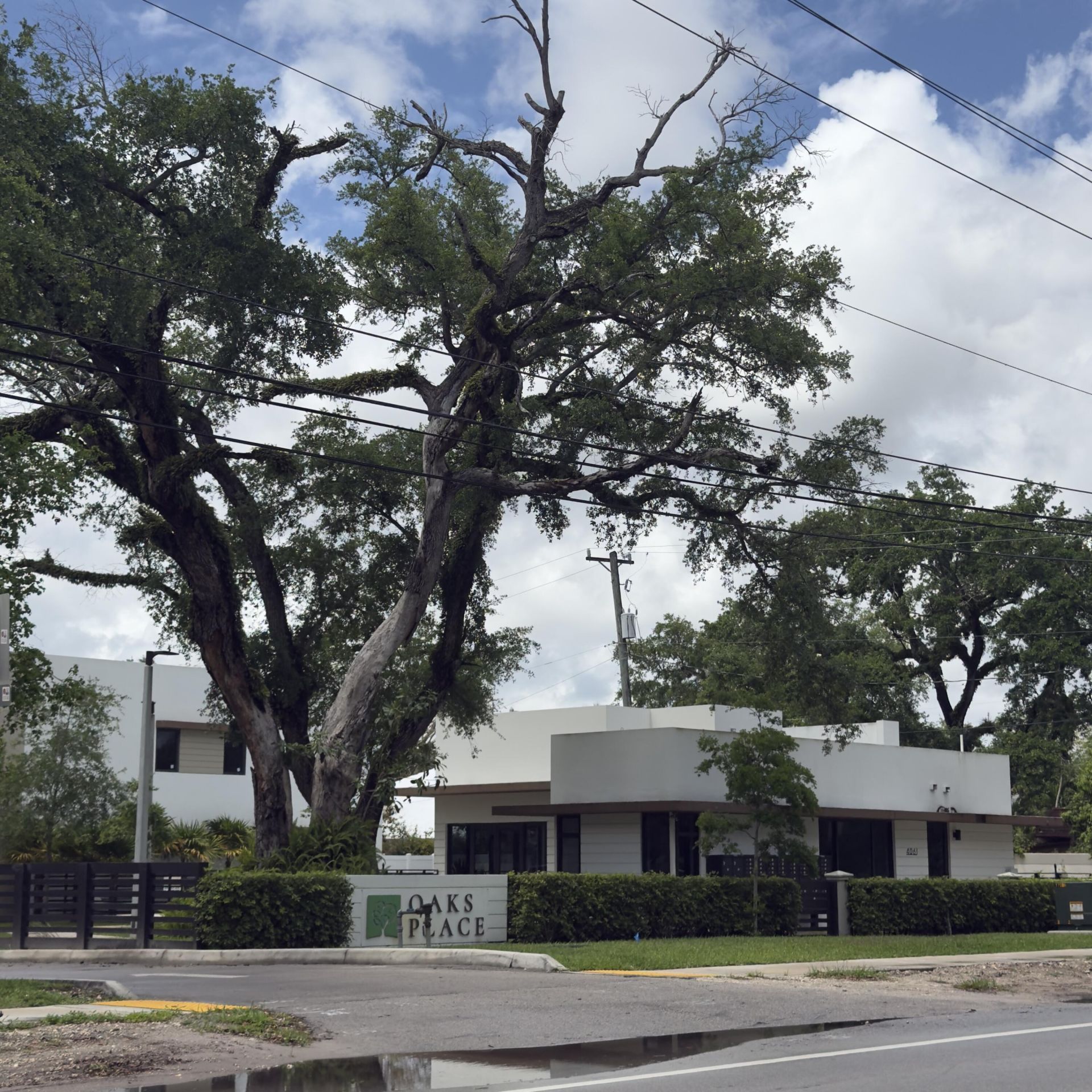 4189 N Oak Place, Fort Lauderdale, FL 33314 Photo