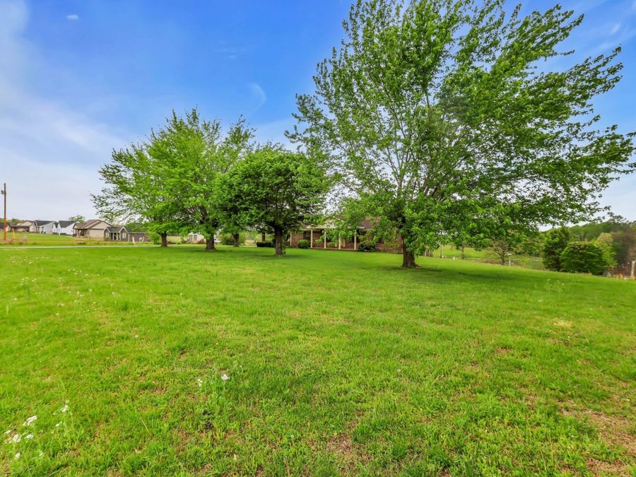 Property Image 69