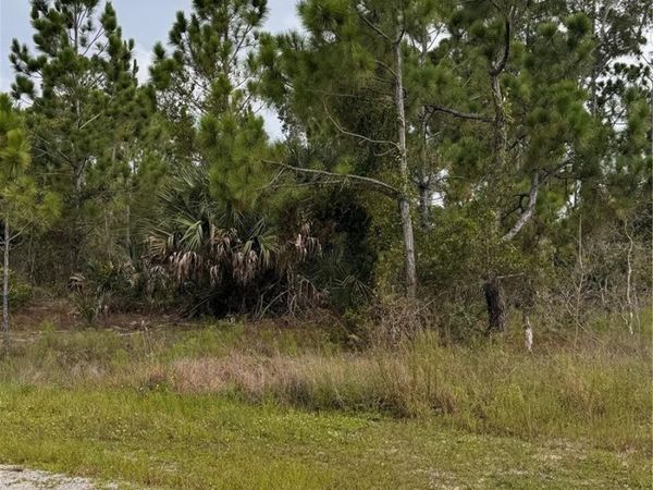 13279 CAROUSEL DRIVE , PUNTA GORDA, FL 33955