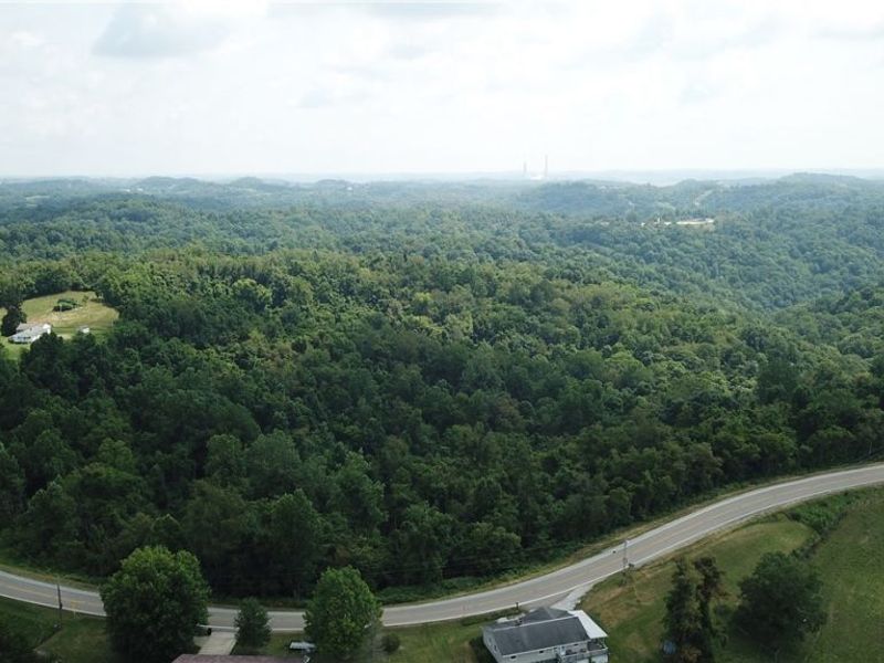State Route 556, Clarington, OH 43915 Photo 10