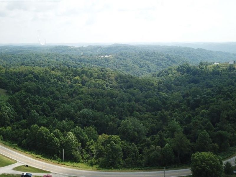State Route 556, Clarington, OH 43915 Photo 11