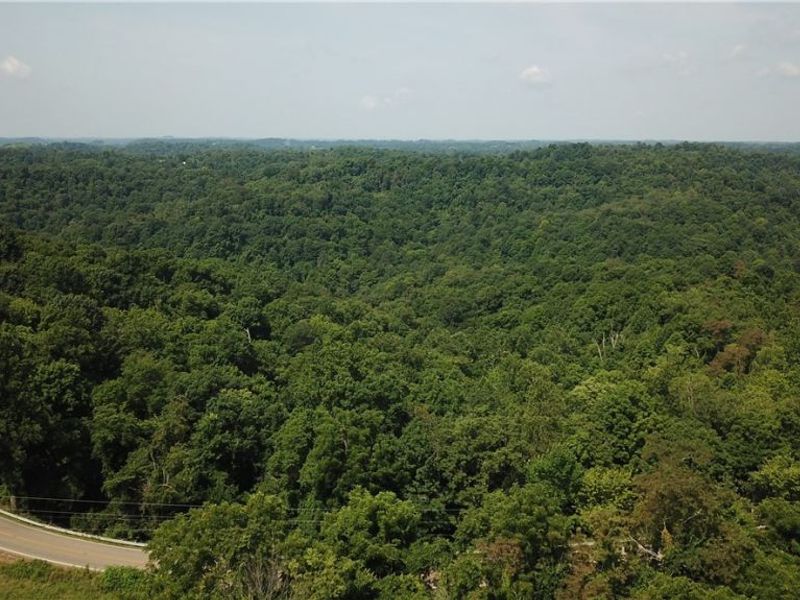 State Route 556, Clarington, OH 43915 Photo 5