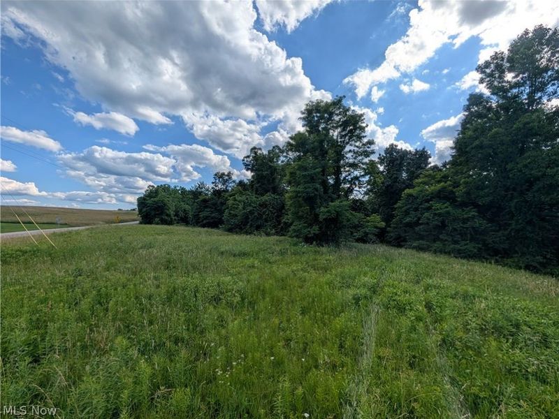 State Route 26, Beallsville, OH 43716 Photo 18