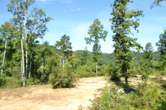 9.85ac Rock Springs Rd, Celina, TN 38551 Main Photo