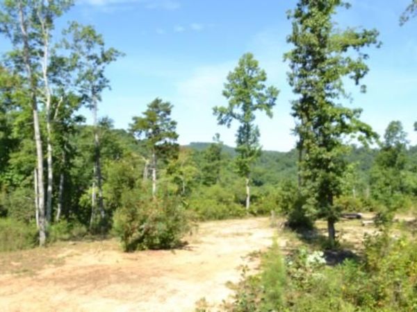 9.85ac Rock Springs Rd, Celina, TN 38551