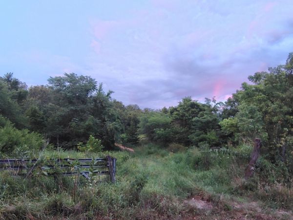 000 County Road 150 , Preston, MO 65732