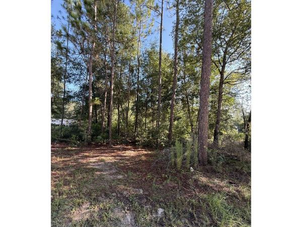 NE TBD 74TH PL, Other, FL 32621