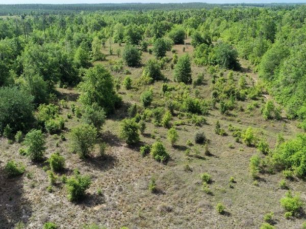 000 NE CEDAR TRAIL, Pinetta, FL 32331