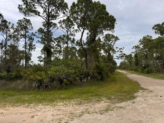27430 Chrysalis Drive, Punta Gorda, FL 33955 Photo