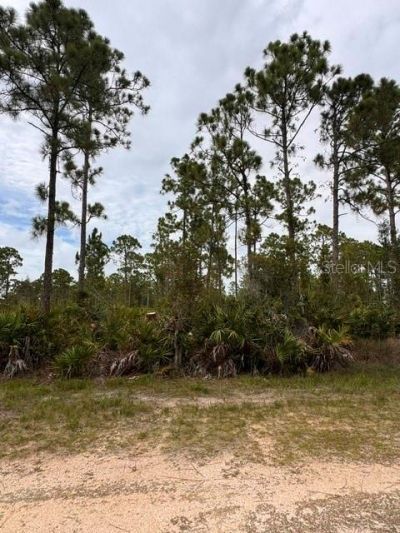 27430 Chrysalis Drive, Punta Gorda, FL 33955 Photo