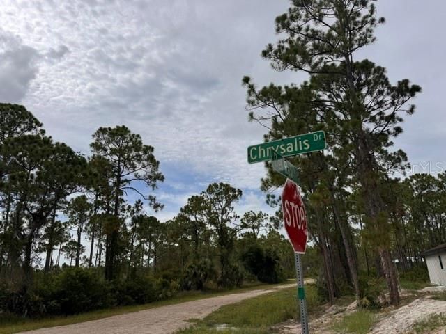 27430 Chrysalis Drive, Punta Gorda, FL 33955 Photo