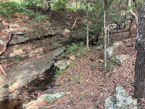 10 S Big Hollow Road , Park Hill, OK 74451