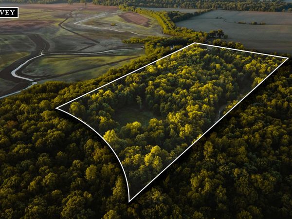 0 Obion River , Obion, TN 38240