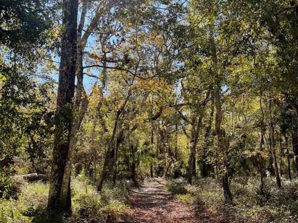 TUMBLEWEED TRAIL , BROOKSVILLE, FL 34604