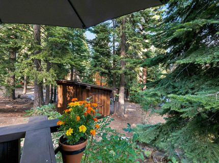 3870 Forest Drive , Carnelian Bay, CA 96140 Photo
