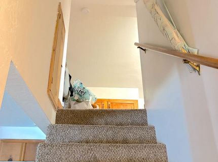 2662 Osborne Avenue, South Lake Tahoe, CA 96150 Photo
