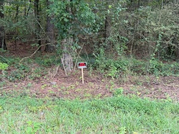 0 Iron Hill Road Lot 4 , Taylorsville, GA 30178