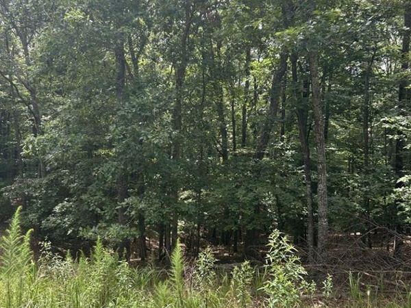 1.5 Liberty Hill Road, Morganton, GA 30560