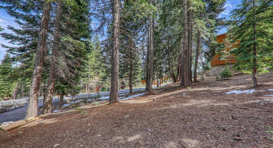 12388 Falcon Point Place , Truckee, CA 96161 Photo