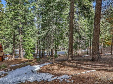 12388 Falcon Point Place , Truckee, CA 96161 Photo