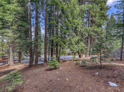 12388 Falcon Point Place , Truckee, CA 96161 Photo
