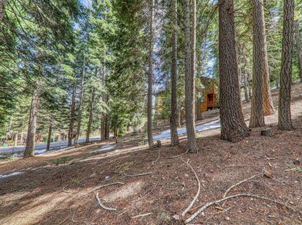 12388 Falcon Point Place , Truckee, CA 96161 Photo