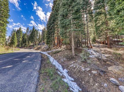 12388 Falcon Point Place , Truckee, CA 96161 Photo