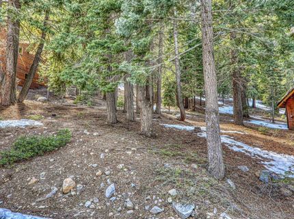12388 Falcon Point Place , Truckee, CA 96161 Photo