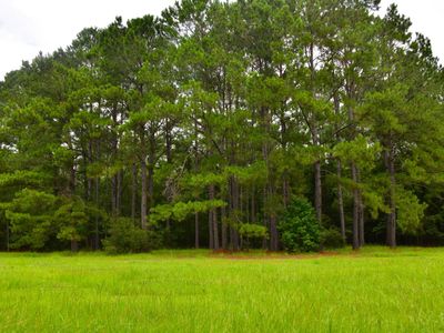 0 Palmetto Avenue, Saint Stephen, SC 29479