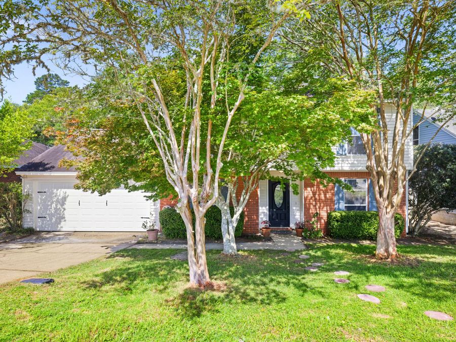 Property Image 62