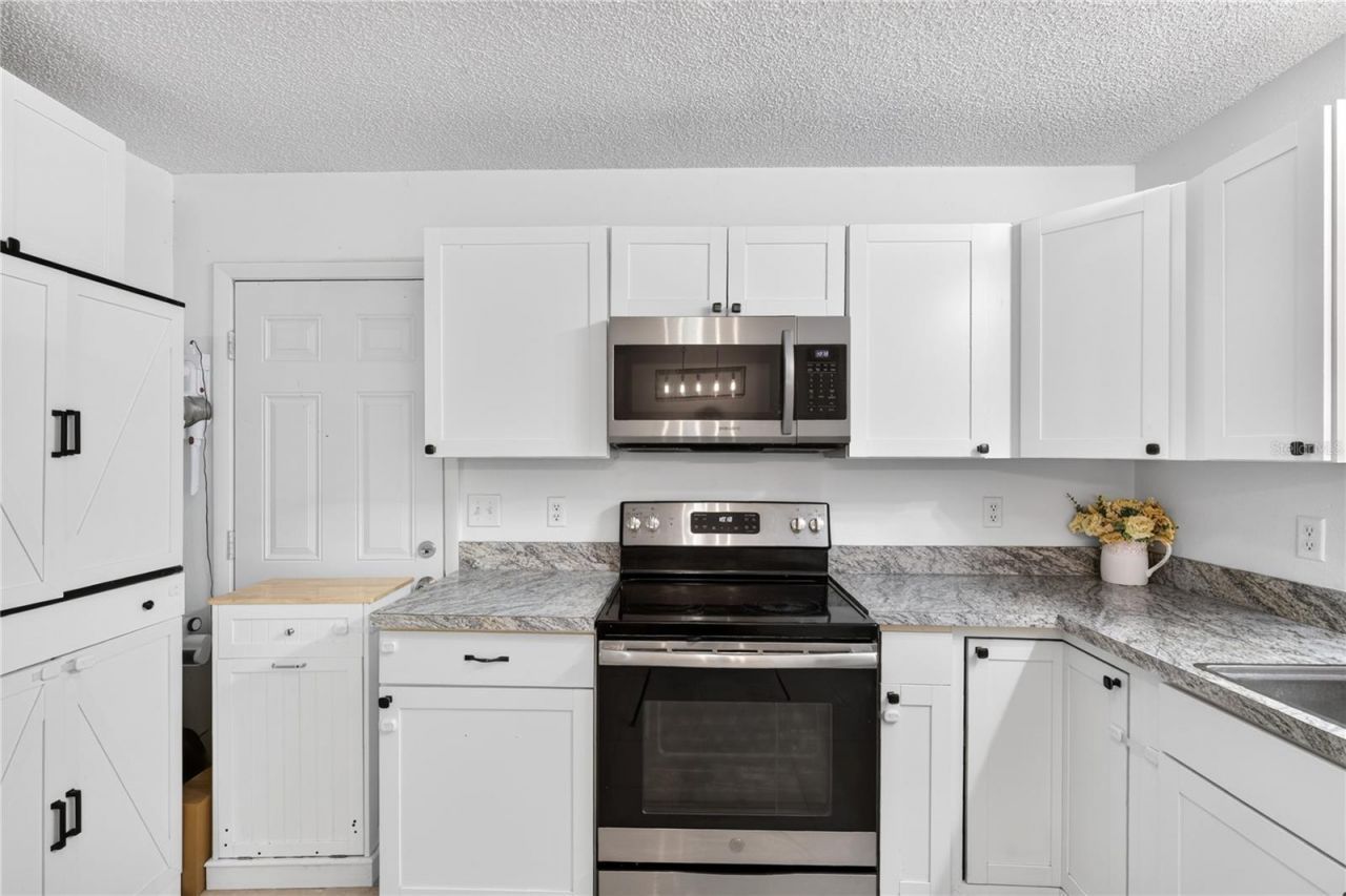 30832 Ridgeview Avenue , Mount Plymouth, FL 32776 Photo