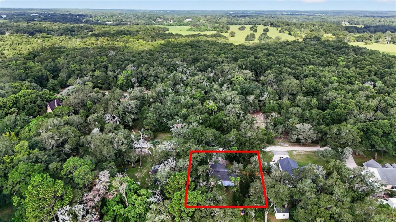 30832 Ridgeview Avenue , Mount Plymouth, FL 32776 Photo
