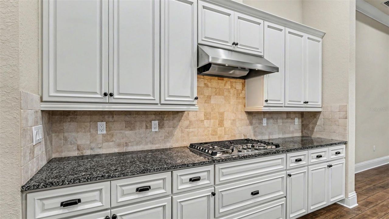 6589 Eagle View Loop, Lakeland, FL 33813 Photo