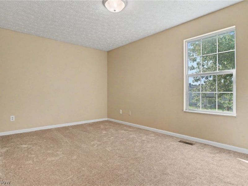 9598 Greenmeadow Road, Windham, OH 44288 Photo 13